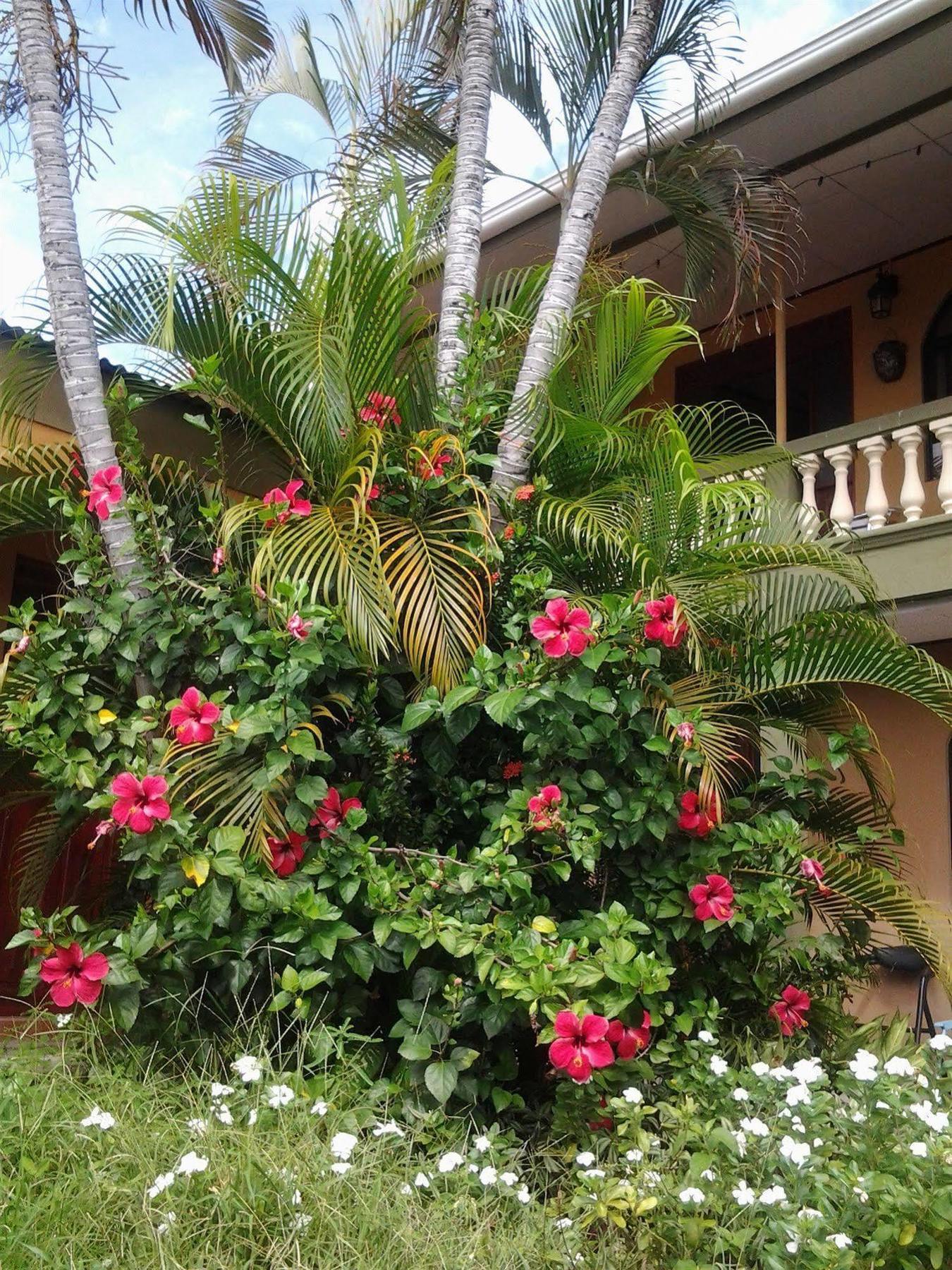 Cabinas Madeleine Puntarenas Exterior photo